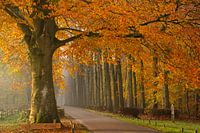 The artwork of Fall