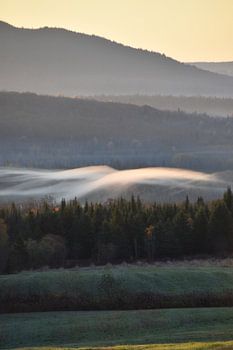 A mist on an autumn morning