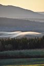 A mist on an autumn morning by Claude Laprise thumbnail