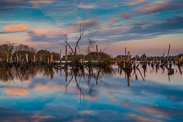 Nationaal Park De Alde Feanen bij Earnewald (Eernewoude) van Annie Jakobs