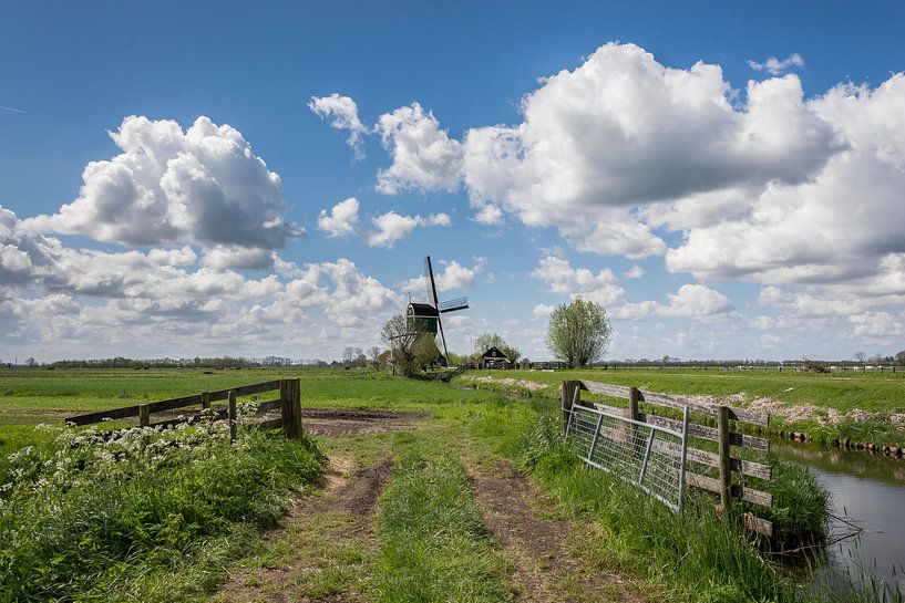 Bonrepasmolen in Vlist von Rinus Lasschuyt Fotografie