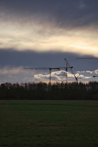 Baukräne ragen während eines dramatischen Sonnenuntergangs über einer bewaldeten Landschaft auf.