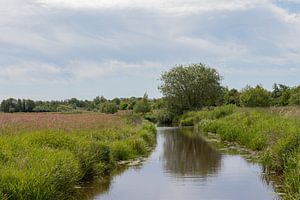 Groningen und Drenthe Veenkoloniën