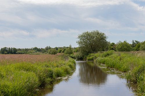 Groningen and Drenthe Veenkoloniën