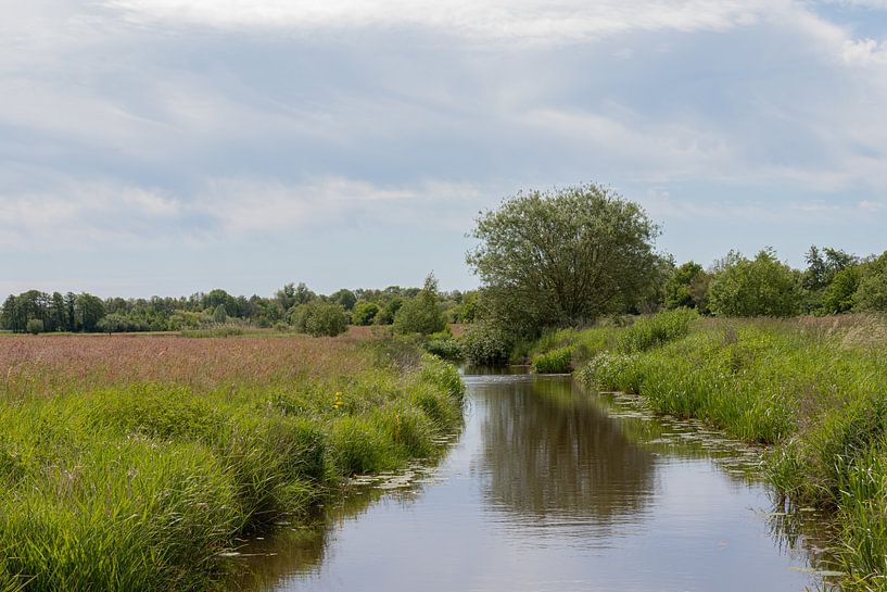 Groningen and Drenthe Veenkoloniën by Johan Mooibroek