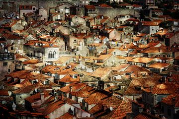Boven de daken van Dubrovnik van Sabine Wagner