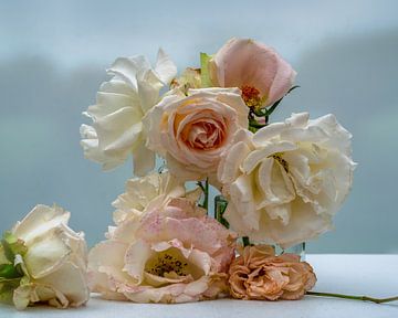 Still Life Roses - Transience in soft pastel colors