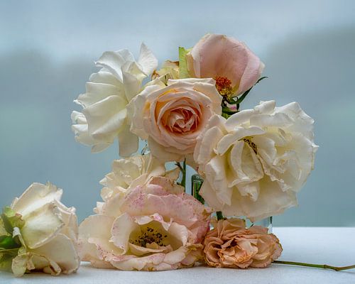 Still Life Roses - Transience in soft pastel colors
