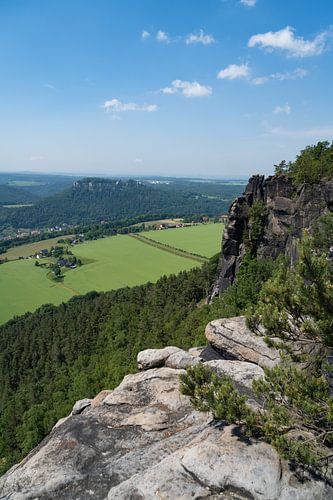 View of the green landscape from the Lilienstein