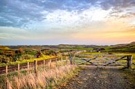 From Auckland to Paihia Bay in New Zealand by Nicolette Suijkerbuijk thumbnail