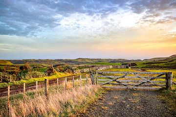 From Auckland to Paihia Bay in New Zealand by Nicolette Suijkerbuijk