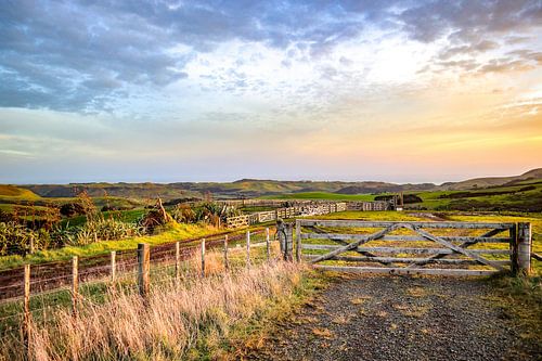 Van Auckland naar Paihia Bay in Nieuw-Zeeland
