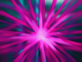 Mindscape - 'Unbetitelt'-2006 von Hans Zantman