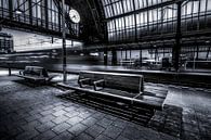 Hauptbahnhof Amsterdam von Niels Barto Miniaturansicht