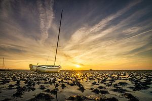 Oosterschelde bei Ebbe von Dennis Donders