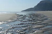 Marée basse
