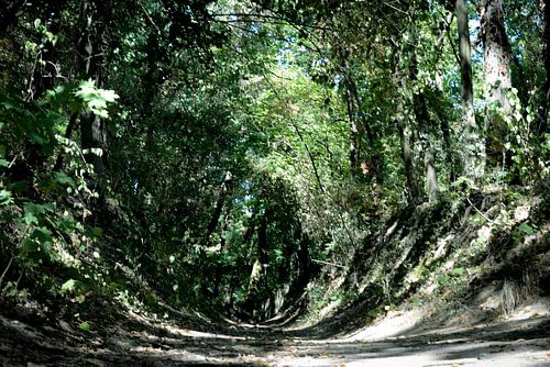 Malerei von Linda Metten