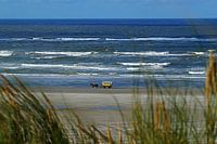 Huifkar Terschelling langs de vloedlijn 
