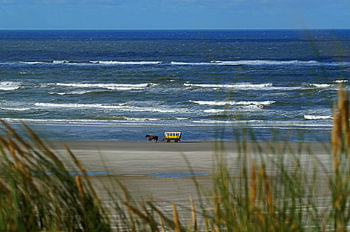 Huifkar Terschelling langs de vloedlijn 