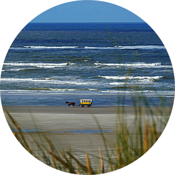 Huifkar Terschelling langs de vloedlijn 