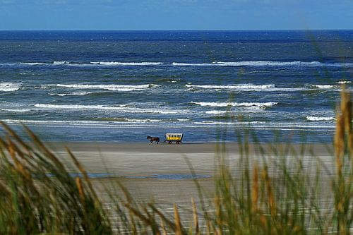 Huifkar Terschelling langs de vloedlijn 