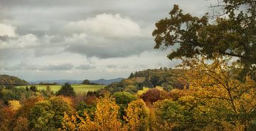 Eifel in de herfst van Dieter Beselt