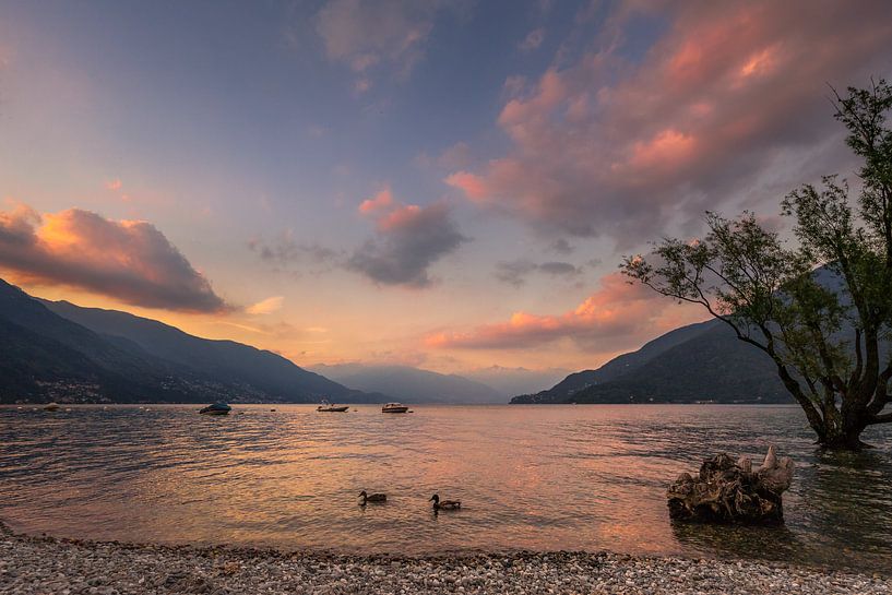Cannobio atmosphérique, Lac Majeur par Annie Jakobs