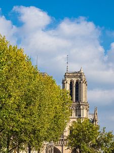 Vue de la cathédrale Notre-Dame à Paris, France sur Rico Ködder