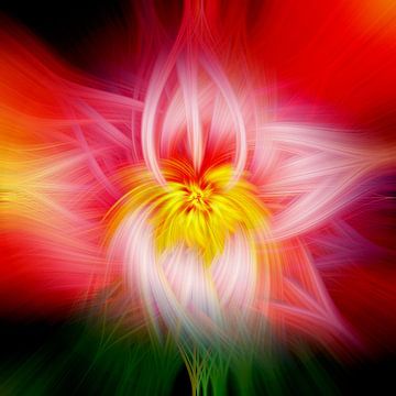 Flower of light in red and yellow. Abstract Geometric Fireworks by Dina Dankers