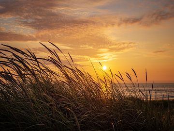 Sonnenuntergang an der holländischen Küste