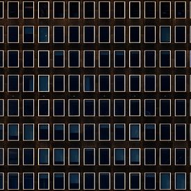 Blauw raam van Maerten Prins