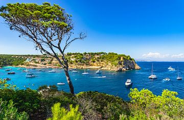 Mallorca, Portals Vells, Middellandse Zee Spanje van Alex Winter