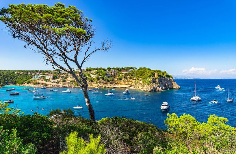 Majorque, Portals Vells, mer Méditerranée Espagne par Alex Winter