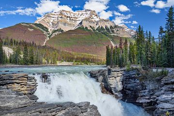 Athabasca waterval in Jasper Nationaal Park, Canada van Rietje Bulthuis