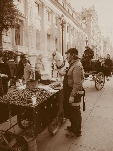 Kastanjeverkoper par Esther Bakker-van Aalderen