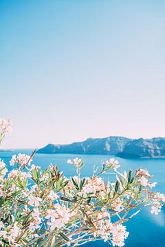 Witte Bloemen Blauwe Zee van Patrycja Polechonska