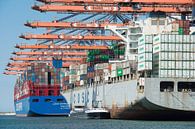 The international port of Rotterdam by Elles Rijsdijk thumbnail