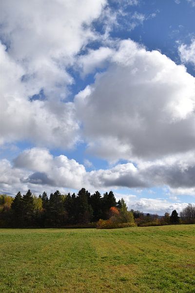 A field in autumn by Claude Laprise