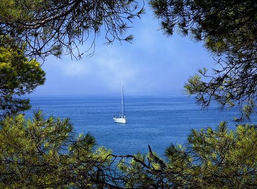 Voilier blanc sur la mer (couleur)