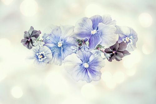 Soft Violets 1. ( drieluik ) Digital Art. Boho.