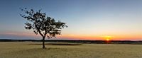 Sunset @ te Dunes II van Marc Smits thumbnail