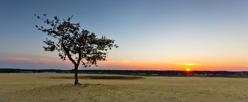 Sunset @ te Dunes II van Marc Smits