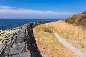 Der Steinwall Huckemauer bei Kloster auf der Insel Hiddensee