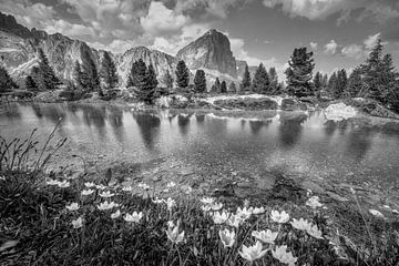 Lac de montagne dans les Dolomites avec un beau reflet en noir et blanc sur Manfred Voss, Schwarz-weiss Fotografie