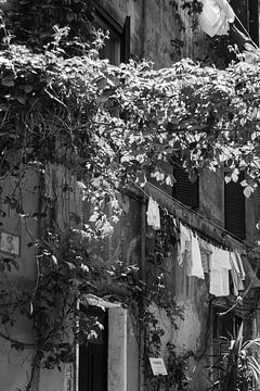 Rome | Zwart/wit fotografie in stad | Stedenfotografie van heidi borgart thumbnail  Kamer thumbnail  van heidi borgart