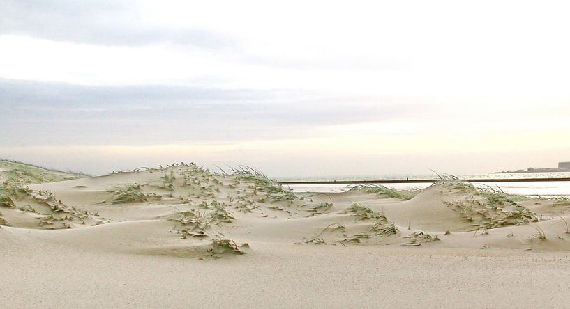 Duinen van Texel van Henk Langerak