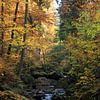Ilsetal in herfsttooi van lieve maréchal