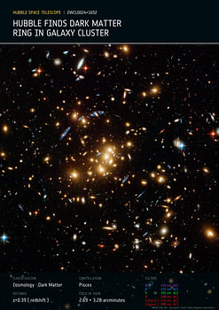Dark matter rings in galaxy cluster