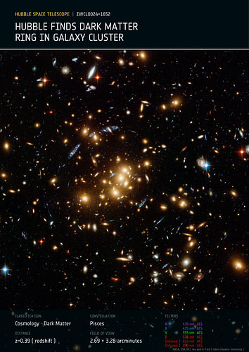 Dark matter rings in galaxy cluster