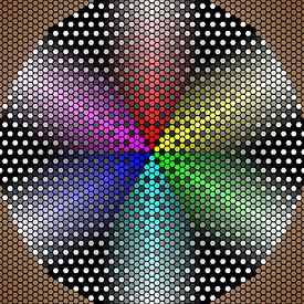 Colored Hexagons van Henk Schellekens